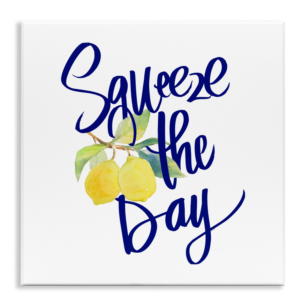 Stupell Industries Cursive Squeeze The Day Wall Plaque, design by Lanie Loreth